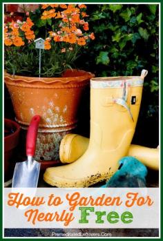 
                    
                        How To Garden for Nearly Free. Here are some tips for gardening that can make it almost free to grow vegetables yourself.
                    
                