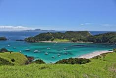 
                    
                        New Zealand's beautiful beaches. Waewaetoria Island, Bay of Islands. Click through to see more gorgeous beach photos!
                    
                