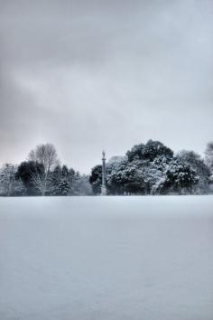 
                    
                        Syon Park Gardens London
                    
                