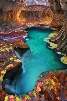 
                    
                        Zion National Park, Utah, USA
                    
                