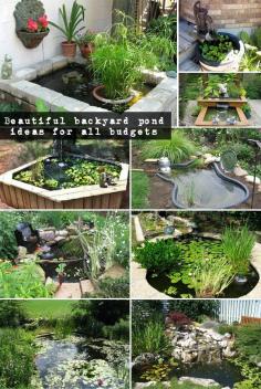 
                    
                        BEAUTIFUL BACKYARD POND IDEAS FOR ALL BUDGETS
                    
                