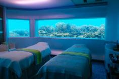 
                    
                        Spas & Sharks, Maldives - The Londoner
                    
                