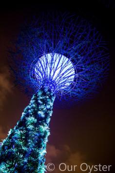 
                    
                        Marina Bay Sands - Singapore
                    
                