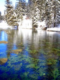 
                    
                        Green and White, Montana
                    
                