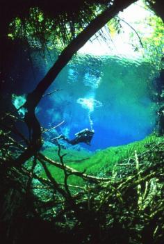 
                    
                        Gran Cenote
                    
                