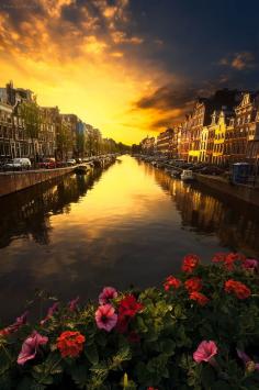 
                    
                        A timeless moment, Amsterdam, Netherlands
                    
                