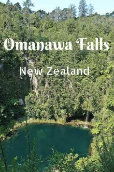 
                    
                        Love stumbling across hidden gems? Then you'll adore Omanawa Falls in New Zealand's Bay of Plenty. Click through to see more photos and directions!
                    
                