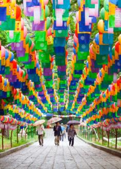 
                    
                        Tunnel of Lanterns - Busan, South Korea
                    
                