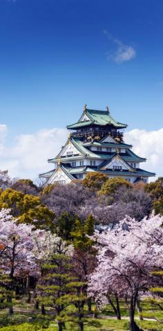 
                    
                        Amazing View of Osaka Castle with Sakura Blossom in Osaka, Japan | 19 Reasons to Love Japan, an Unforgettable Travel Destination
                    
                