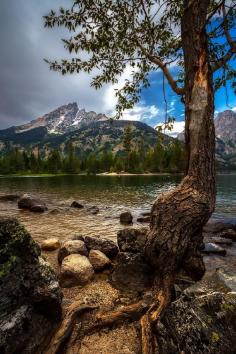 
                    
                        sublim-ature:  Grand Teton NP, WyomingRoberto Rivera
                    
                