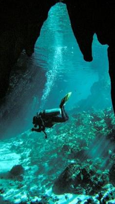 
                    
                        Gran Cenote
                    
                