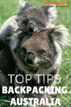 
                    
                        Top 10 Backpacker Tips for Australia | Traveldudes.org Travel Blog
                    
                