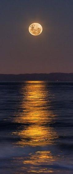 
                    
                        Reflections of a Perigee Moon ~ that is the closest to the earth and the point in the orbit of a "heavenly moon",  Burpengary, Queensland, Australia by Steve Bass
                    
                