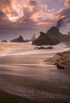 
                    
                        Olympic National Park, Washington
                    
                