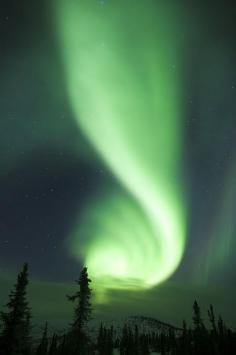 
                    
                        Night Show, Alaska
                    
                