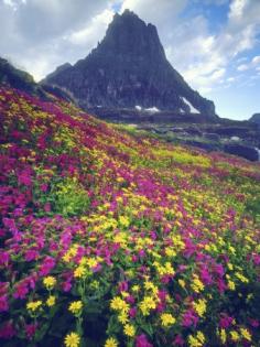 
                    
                        Glacier National Park
                    
                