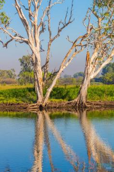 
                    
                        Kakadu National Park, Northern Territory, Australia
                    
                