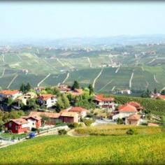 
                    
                        Marion Fischer-E. / 500px near Alba- Italia
                    
                