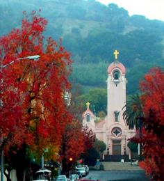 
                    
                        San Rafael, California
                    
                