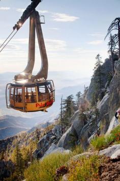 
                    
                        Gondola over Palm Springs
                    
                