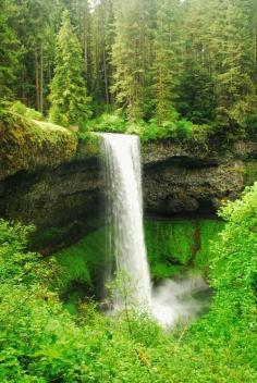 
                    
                        Silver Falls, Oregon
                    
                