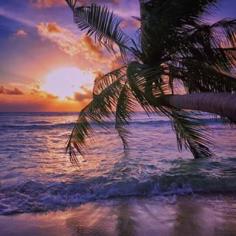 
                    
                        #MatadorN reader Juan Ocegueda was treated to this amazing view on Dhigurah Island, Ari Atoll in the Maldives.
                    
                