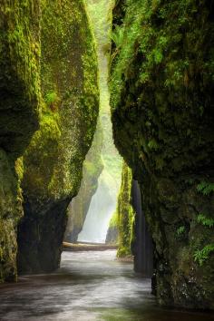 
                    
                        Columbia River Gorge, Oneonta Canyon, Oregon, United States
                    
                