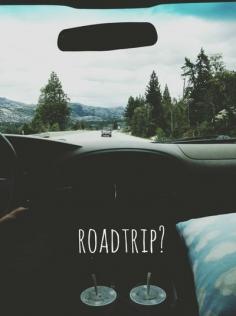 
                    
                        A whole website created for road trips.  You can enter your destination and city you are leaving from and find all kinds of stuff along the way.
                    
                