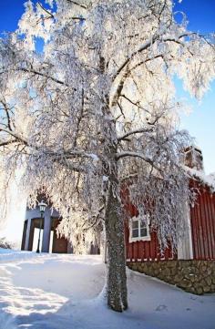 
                    
                        Nässjö, Småland, Sweden
                    
                