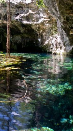 
                    
                        Gran Cenote
                    
                