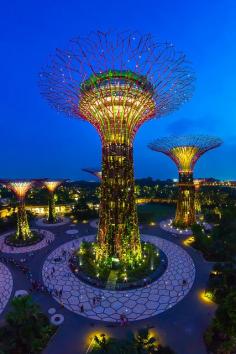 
                    
                        The Super Tree, Gardens by the Bay, Singapore
                    
                