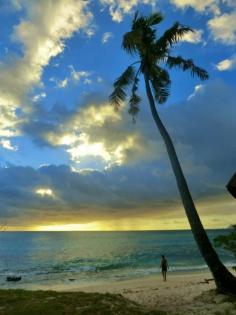 
                    
                        Mana Island, Fiji
                    
                