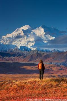 
                    
                        Denali National Park, Alaska
                    
                