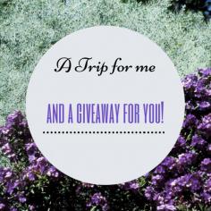 
                    
                        A Birthday Trip for me and a Giveaway for you!
                    
                