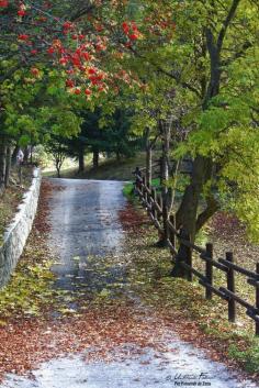 
                    
                        Cogne, Italy  www.liberatingdiv... www.facebook.com/...
                    
                