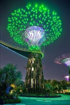 
                    
                        Gardens by the Bay, Marina Bay, Singapore - Holiday$pots4u
                    
                