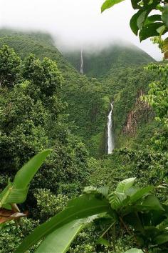 
                    
                        Breathtaking. Ice cold lake at the bottom of the falls, with a small hot springs beside it. Chutes du Carbet, Basse-Terre, Guadeloupe
                    
                