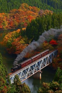 
                    
                        Fukushima, Japan
                    
                