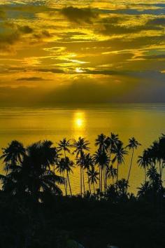 
                    
                        Fiji Sunset
                    
                