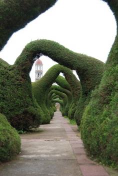 
                    
                        Zarcero Topiary Gardens, Costa Rica media-cache3.pint... alexandracalado inspire me
                    
                