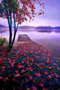 
                    
                        Nature Reach Lake Dock, Thousand Islands, Canada
                    
                