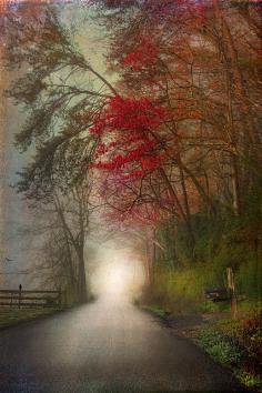 
                    
                        misty road
                    
                