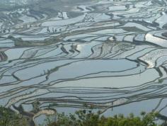 
                    
                        Yuanuang Terraces, China
                    
                