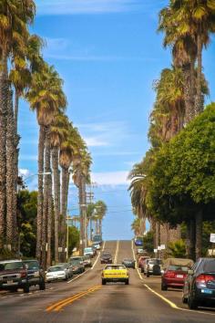 
                    
                        Ocean Beach Road, California
                    
                