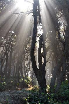 
                    
                        Speaking With Light (by Aaron Reed)
                    
                