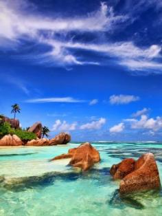 
                    
                        Seychelles beach
                    
                