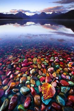 
                    
                        Pebble Shore Lake in Glacier National Park, Montana, United States
                    
                