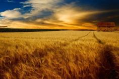 
                    
                        Photograph barn by Michael-Bies on 500px
                    
                