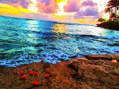 
                    
                        O‘ahu, Oahu, Hawaii - One of the best places to catch a stunning...
                    
                