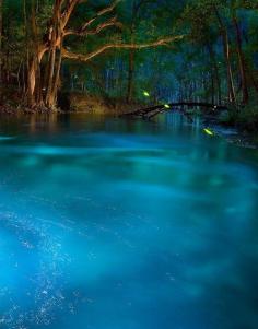 
                    
                        This natural spring looks like something out of a dream.  But it's real & you can visit it right here in the USA...
                    
                